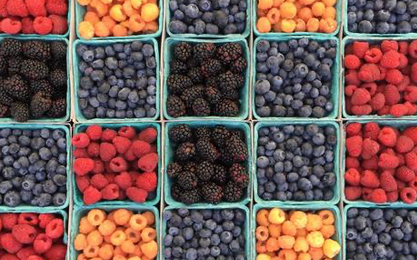 4 Food and Drink Habits for General Wellbeing and Skin