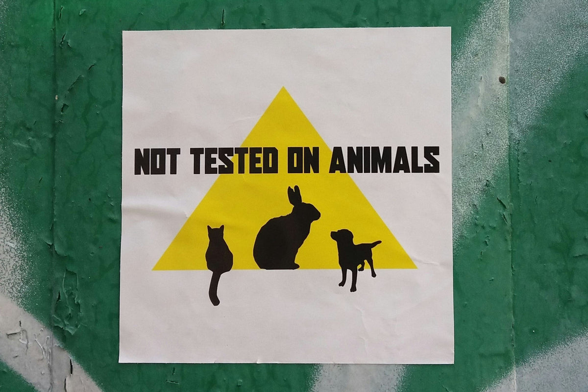 What Cruelty-Free Skincare Means to Your Choices