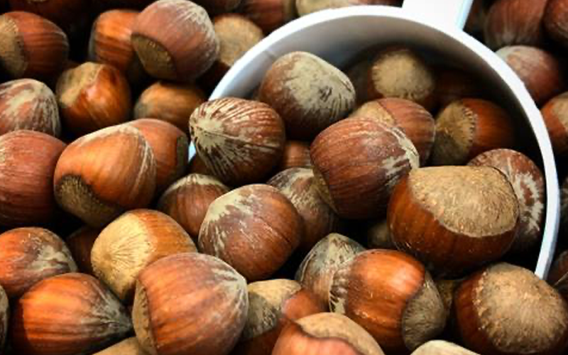 5 Reasons to Explore Plant-Based Skincare